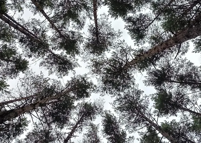 别墅 Perla Wincentowa *